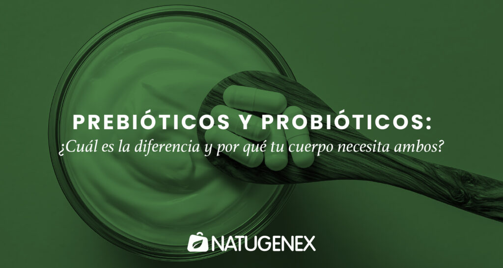 Prebióticos y probióticos: ¿Cuál es la diferencia y por qué tu cuerpo necesita ambos?