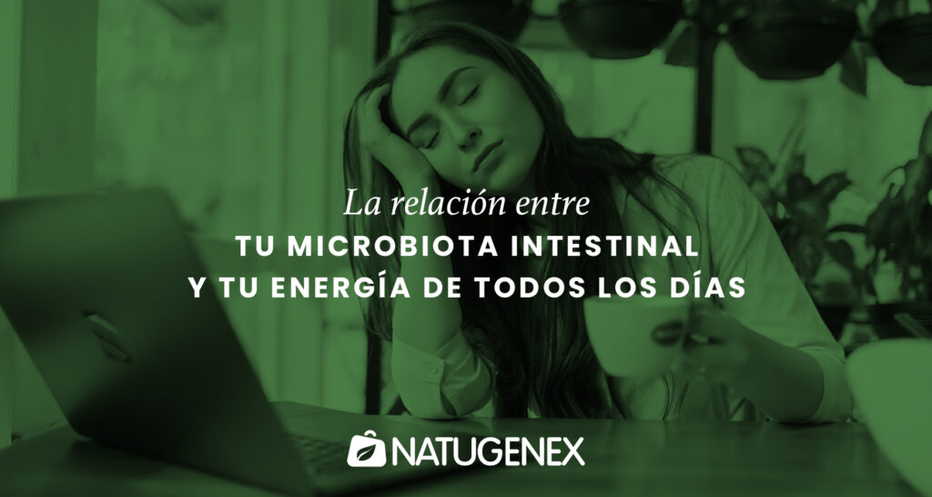 La relación entre tu microbiota intestinal y tu energía de todos los días
