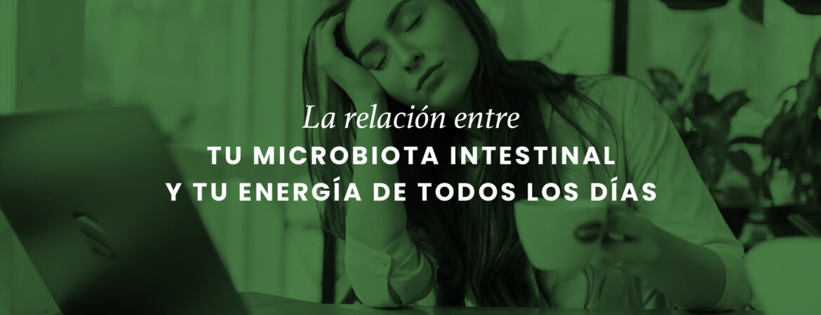 02_Articulo web (1)