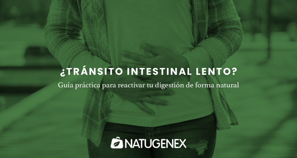 ¿Tránsito intestinal lento? Guía práctica para reactivar tu digestión de forma natural