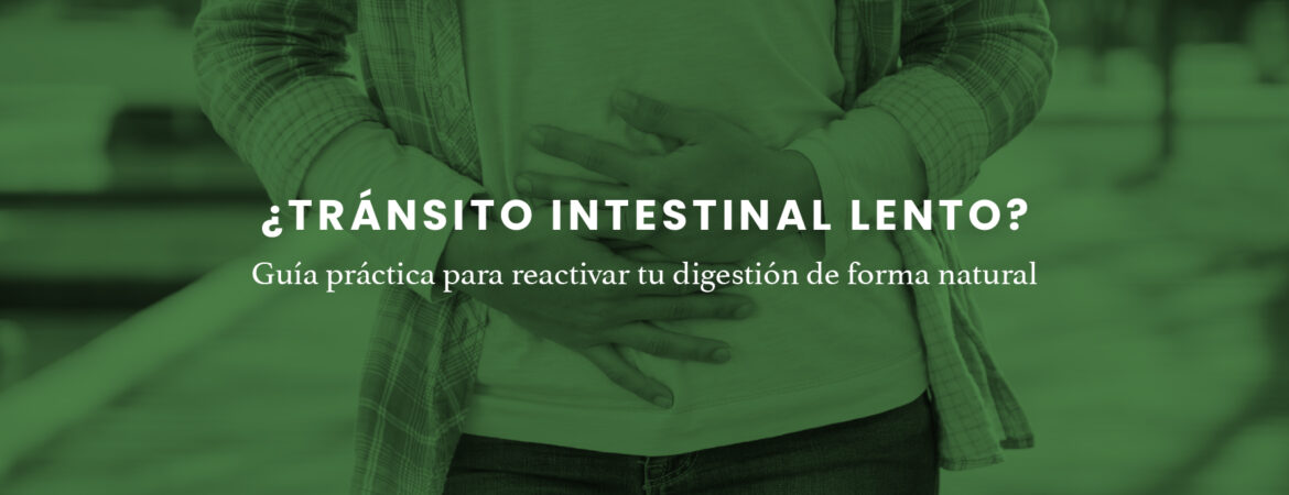 03_Articulo web (1)